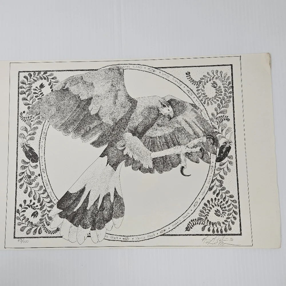 Artist Mafe harris hawk